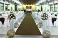 /album/decora%c3%a7%c3%b5es/a401981-353785968075725-384695103-n-jpg1/