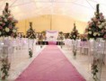 /album/decora%c3%a7%c3%b5es/a538566-323968831014600-1345730182-n-jpg/